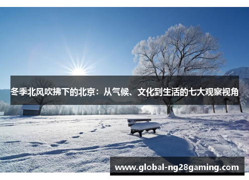 冬季北风吹拂下的北京：从气候、文化到生活的七大观察视角