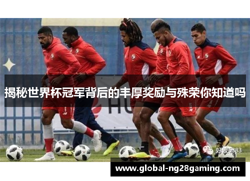 揭秘世界杯冠军背后的丰厚奖励与殊荣你知道吗