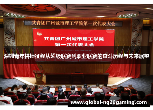深圳青年拼搏征程从超级联赛到职业联赛的奋斗历程与未来展望