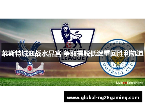 莱斯特城迎战水晶宫 争取摆脱低迷重回胜利轨道