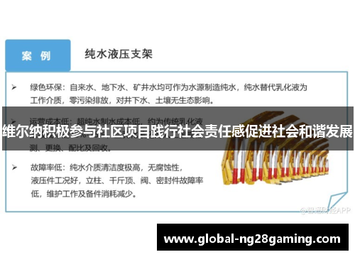 维尔纳积极参与社区项目践行社会责任感促进社会和谐发展