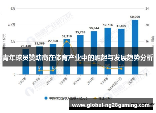 青年球员赞助商在体育产业中的崛起与发展趋势分析